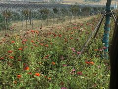 -南京金牛湖风景区