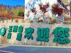 -王顺山国家森林公园