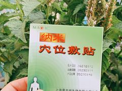 -上海市杨浦区中医医院