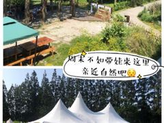-前小桔亲子创意农场·草莓采摘·露营烧烤