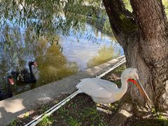 -哈尔滨北方森林动物园