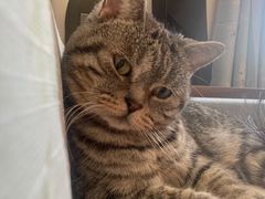 -北京恒爱动物医院(清景园分院)