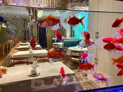 -原鄉本味 楚菜 丹江口鱼(北苑店)