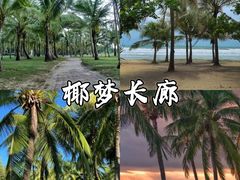 -亚龙湾热带天堂森林公园