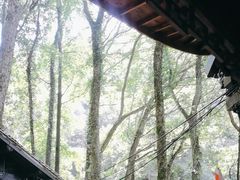 -富春桃源风景区