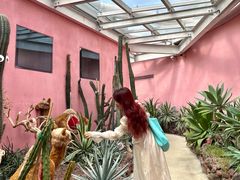 -正佳雨林生态植物园
