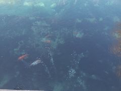 -百脉泉景区