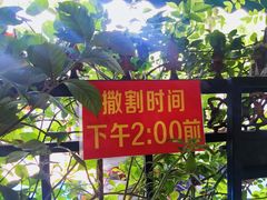 -左撇子私房面
