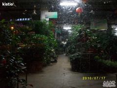 -双季花艺园艺市场(浦东店)