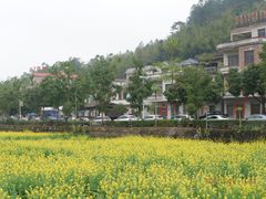 -红山村