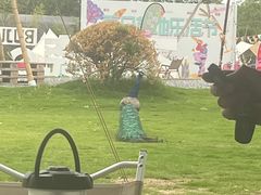 -不觉晓CAMPING(上海迪士尼营地店)