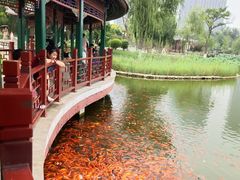 -西海子公园