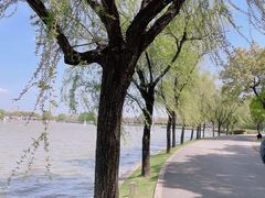 -上海月湖雕塑公园