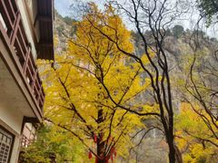 -龙洞风景区-藏龙涧