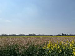 -中国天府农业博览园