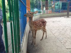 iphone_upload_pic-荆州中山公园动物园