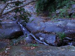 -梧桐山风景名胜区