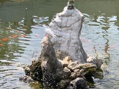 -宝通禅寺