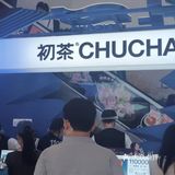 ❗ ❗ 初茶它来啦！！！[亲亲][亲亲]