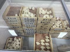 -田记自助海鲜饺子
