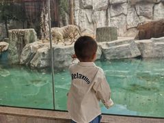 -灵玲国际马戏城