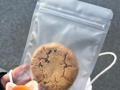-Cetus coffee鲸鱼座咖啡·拼豆(二仙桥公园店)