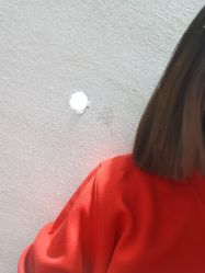 -镁连社·美联社