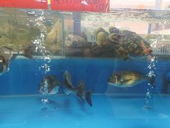 -明本湛江鸡•海鲜小厨(陈家祠店)