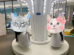 -BossBabe亲子餐厅(金光华广场店)