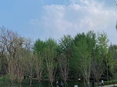 -元大都城垣遗址公园