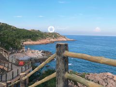 -广东惠东海龟国家级自然保护区