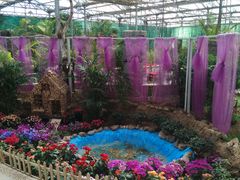 -石家庄市植物园