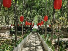 -草根堂农场