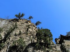 -藏山旅游风景区