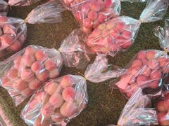 -南坛综合农贸市场