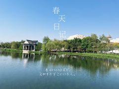 -映月湖公园