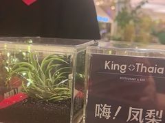 -KingThaia金泰兰(滨江天街店)