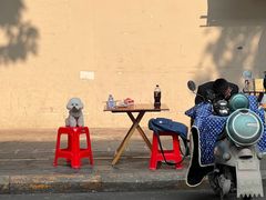 -枣阁园滴滴自助餐