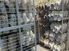 -crocs(友阿奥特莱斯店)