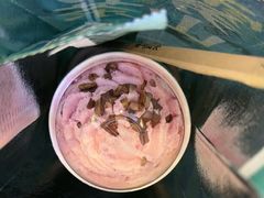 -雾与山茶(大禹城店)