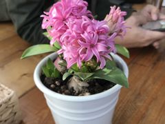 -北马山庄植趣咖啡