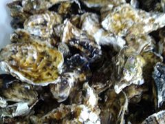 -宾朋海鲜特色美食餐厅·纯手工鲅鱼水饺(兴海路店)