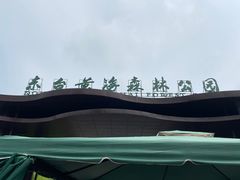 -黄海国家森林公园