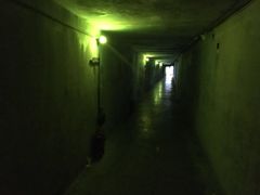 -光芒·哈兰沉浸剧场