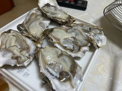 -源港渔村-中山脆肉鲩(博罗店)
