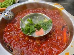 鸳鸯锅-星鸿社重庆老火锅