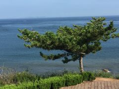 -养马岛旅游度假区