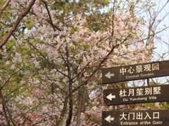 -南山植物园