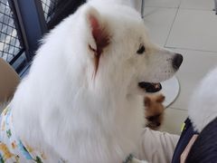 -怪兽屋·羊驼·猫咖·狗咖(俊华广场店)