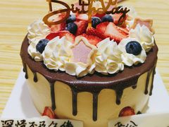 -维尔纳斯·生日蛋糕·动物奶油冰淇淋蛋糕(六里桥店)
